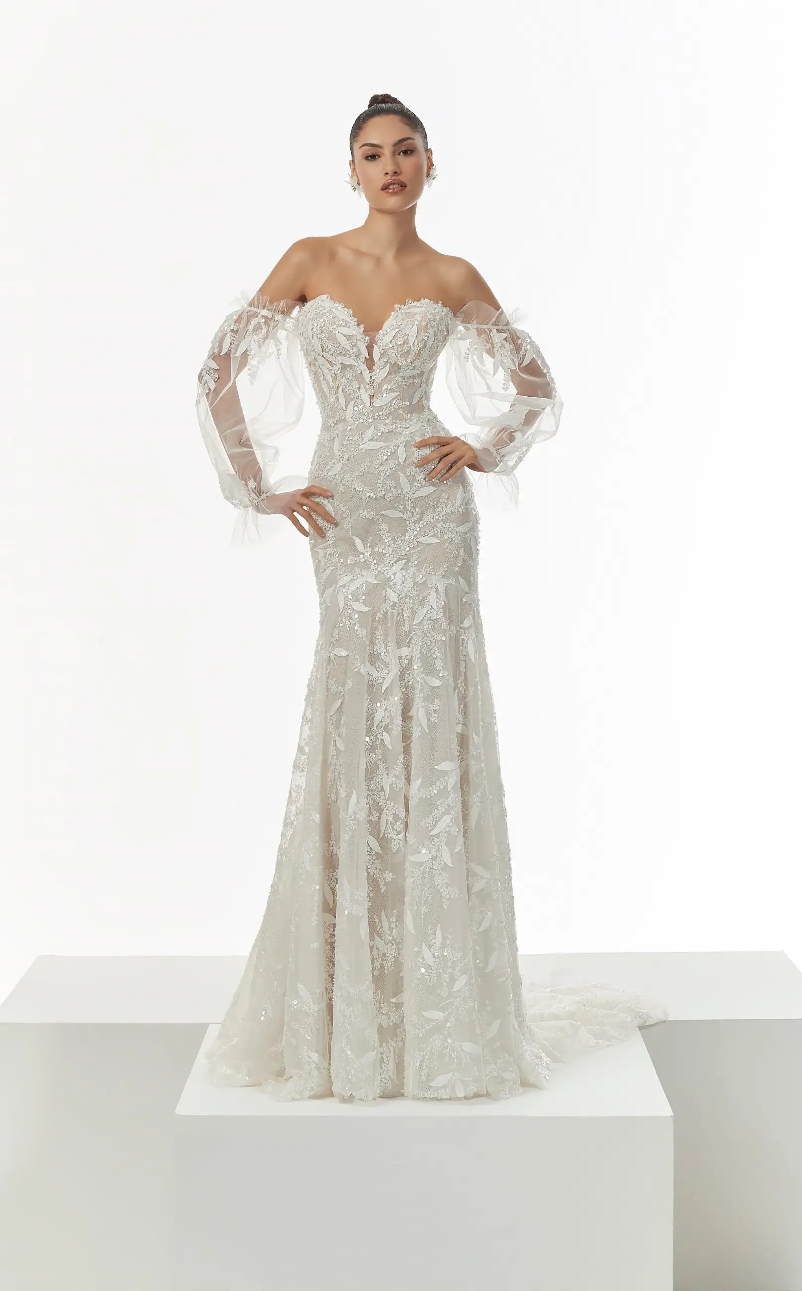 Signature Collection